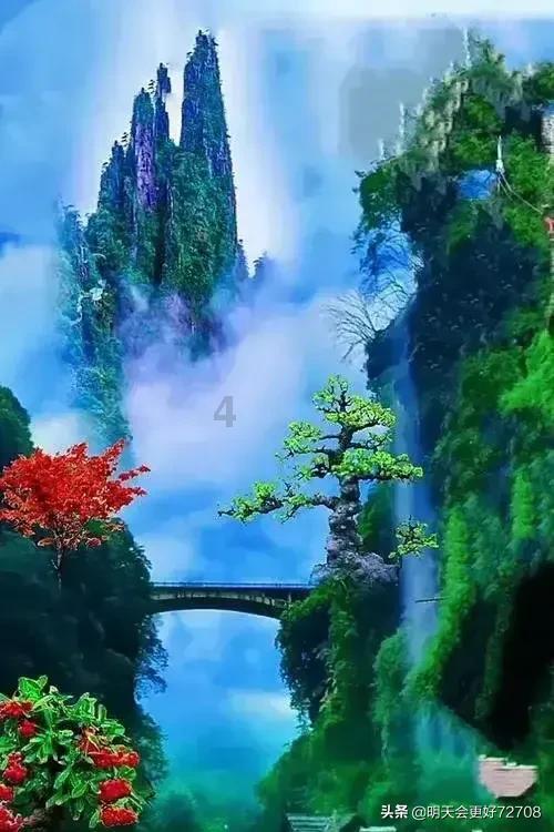 网球运动员营救